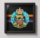 Royal Hampshire Regiment colour cap badge -framed
