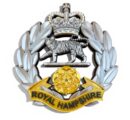 Royal Hampshire Regiment silver and gold cap badge
