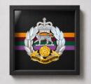Royal Hampshire Regiment silver and gold cap badge - framed