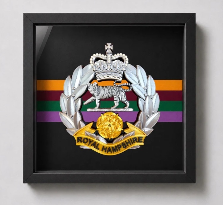 Royal Hampshire Regiment silver and gold cap badge - framed